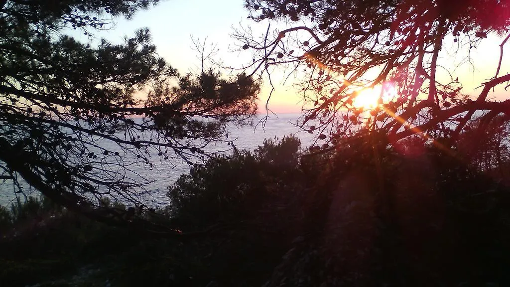 Apartments Nives Mali Losinj